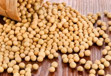 中國減美大豆需求應付貿易戰