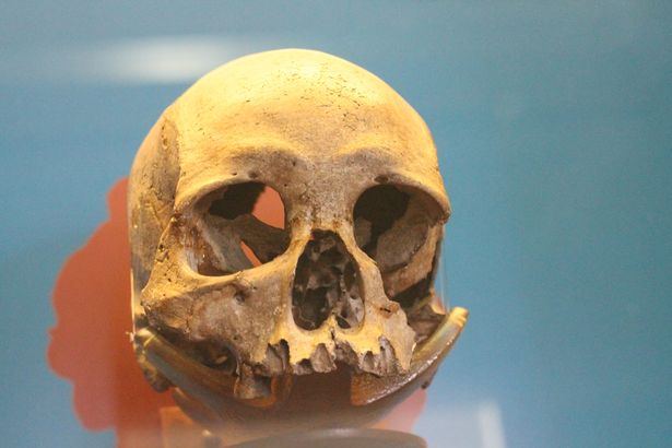 擁有12,000年歷史的女性人類化石「露西亞」。（互聯網）