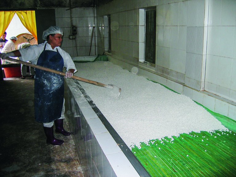 「鋪璜、排璜」即把混了麵粉的大豆放入有特定溫度和濕度的房間，進行發酵。
