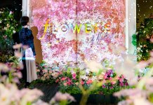 太正了吧！日本數碼互動光雕藝術「FLOWERS BY NAKED」7月來港展出