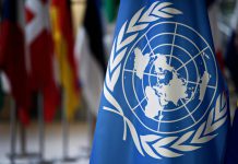 【堅持理念】（2）聯合國兩度批評港府 《種族歧視條例》力度不足