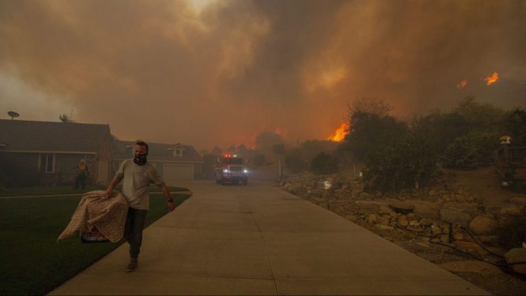 山火燒到，加州居民帶着竉物撤離。﹙互聯網﹚