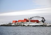 【新型肺炎】南極洲終告失守　智利基地36人染疫