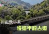 【本地遊】川龍歎早茶  慢遊甲龍古道