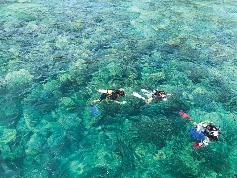 在Koh Ma瑪克島水域潛水， 觀看海底奇景。