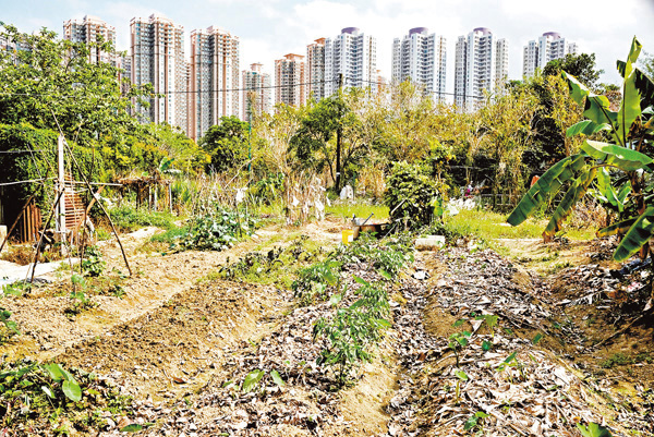香港不少農地已荒廢。(文匯報)