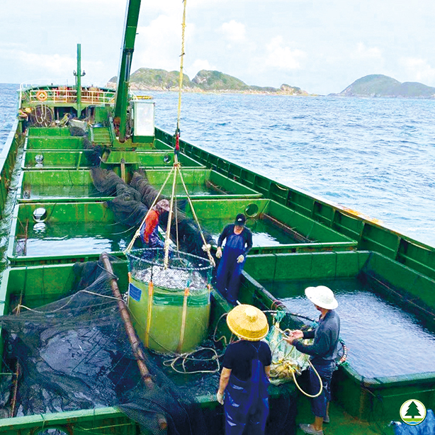 粵港澳流動漁民深海網箱養殖產業園項目，有助香地漁民從捕撈或家庭式養殖轉型。(漁護署圖片)