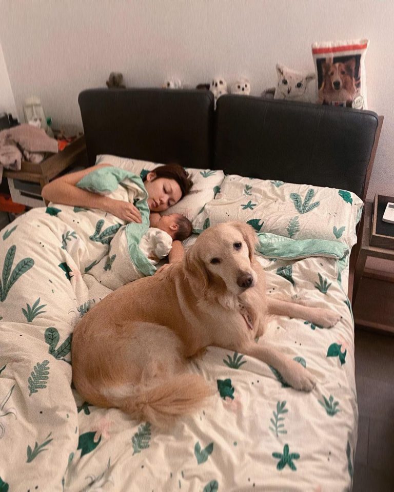 Inez與囡囡、愛犬Molly霸晒成張床，洪永城被迫做廳長。
