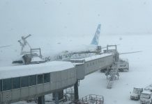 疫情加惡劣天氣　全球4000航班取消