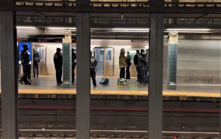 一名華裔女子在紐約市時代廣場地鐵站被人推落路軌，當場被列車輾斃。