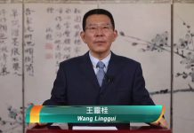 【國安法論壇】王靈桂：《國安法》為香港奠定堅實法治基礎