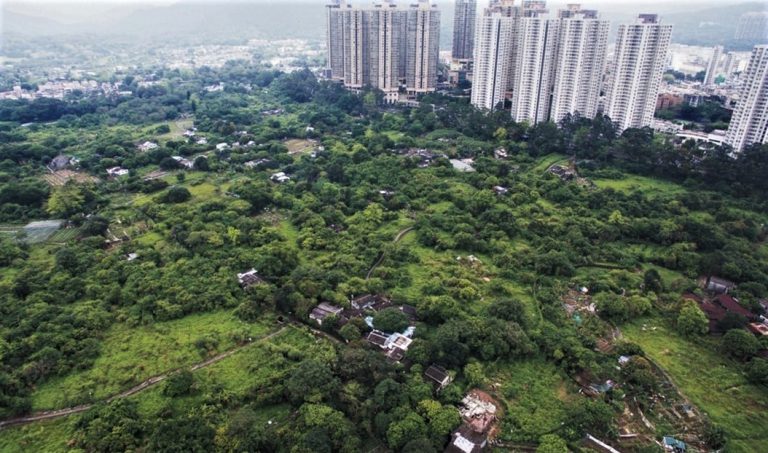 盧偉國表示，香港最大失誤是土地開發不足，認為可以運用郊野公園邊陲土地興建房屋。