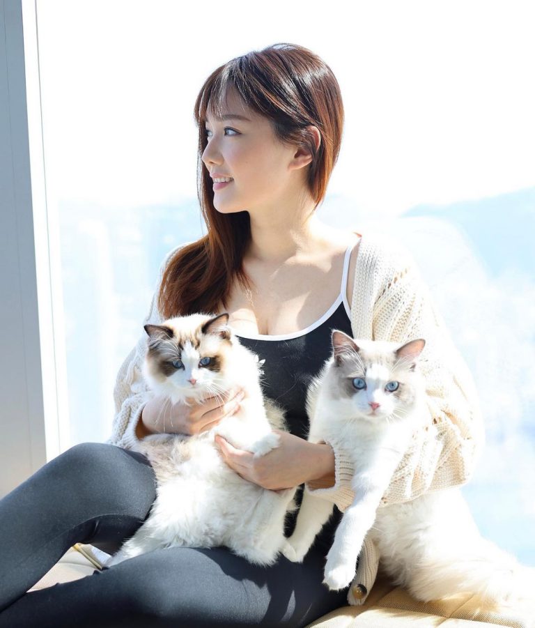 女友湯洛雯養了兩隻小貓，馬國明侷認與她同居。