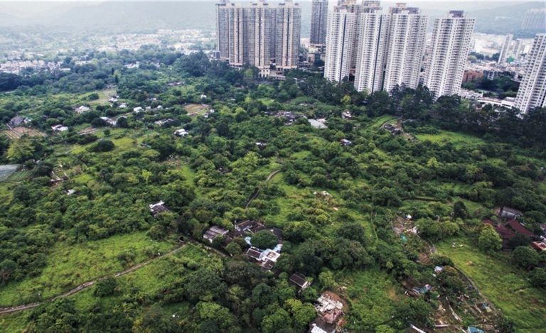 葉劉淑儀認為，要改善香港住屋問題，可以先考慮發展綠化帶。