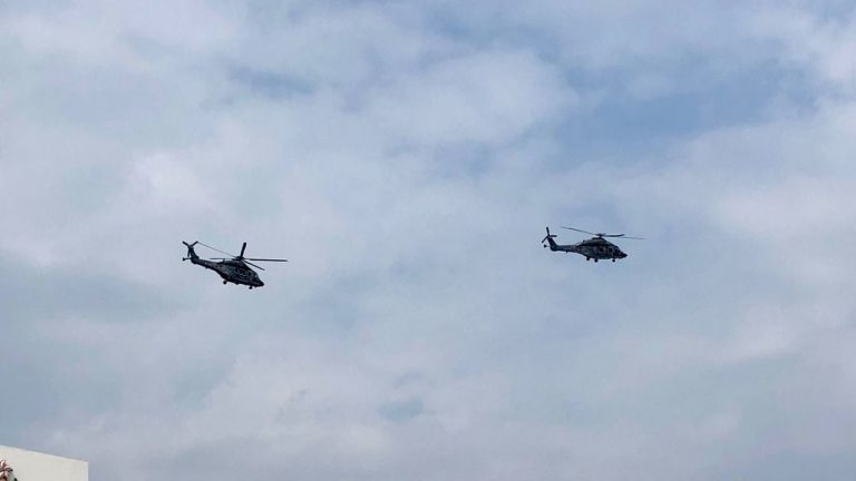 飛行服務隊亦派出兩架直升機參與匯演。