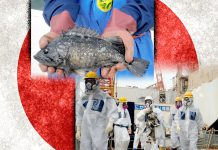 香港因應福島排核廢水禁日產食品海產　整個太平洋的魚類仍可食用嗎?　文：姚潔凝