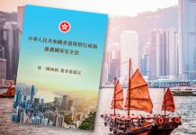 港區國安法是香港的定海神針　文：黃國恩