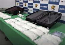 港女由溫哥華帶24公斤毒品到東京　成田機場入境被捕