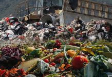 「誰知盤中飧，粒粒皆辛苦」之　特區垃圾堆填區與食物浪費問題　文：林信華、丁煌