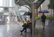 【世紀暴雨】極端天氣造成傷亡　僱員補償保險將提供保障