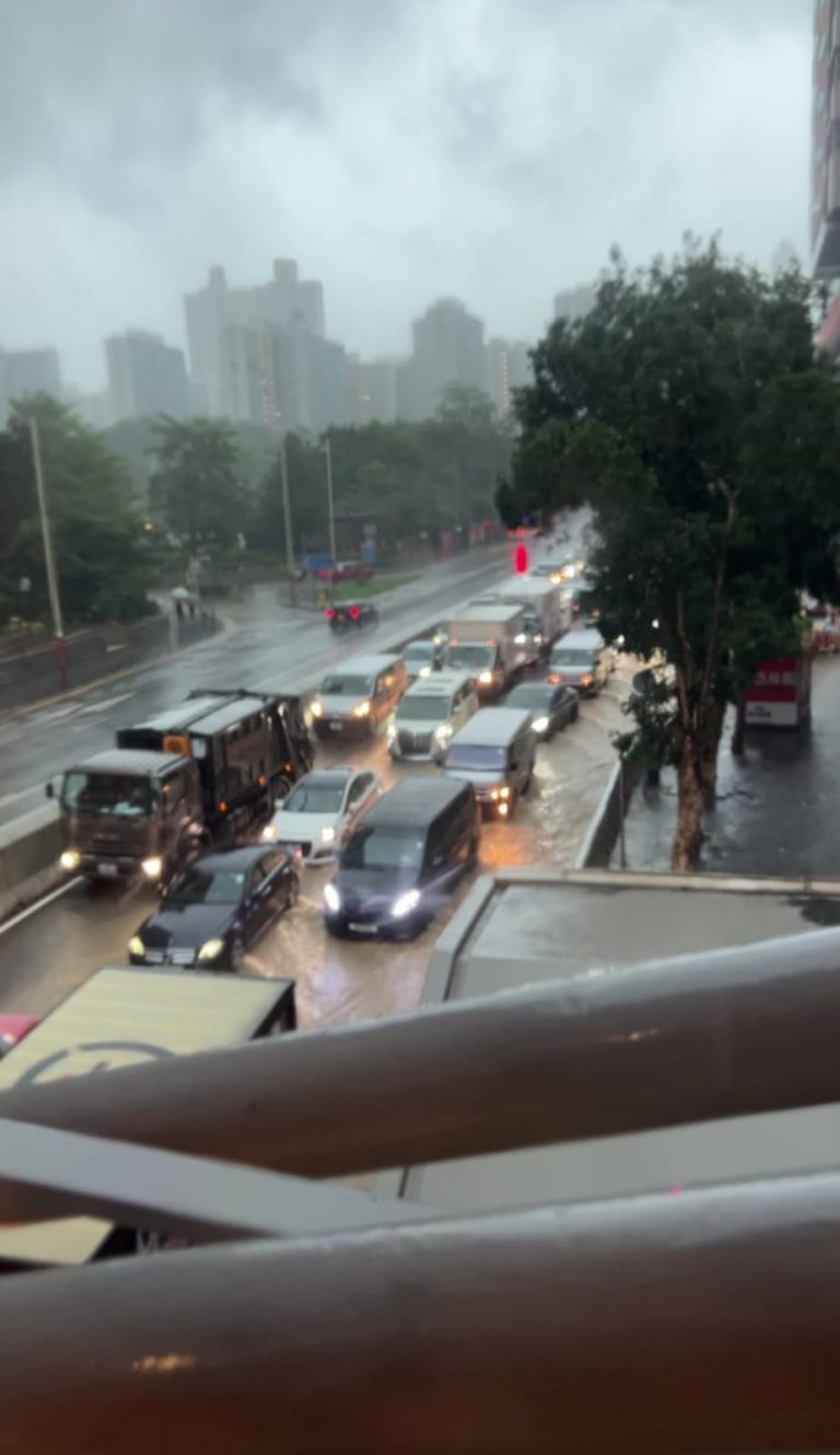 龍翔道外大量車輛被雨水淹浸。（網上圖片）