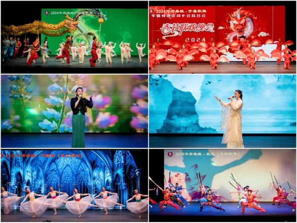 「華府春晚」的主題是「飛翔夢想，喜迎春來」，當中包括多場精彩及富有中國特色的表演項目。