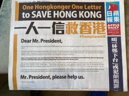 【黎智英案審訊第30天】陳沛敏反對「一人一信救香港」　黎堅持執行聲稱要對付中共