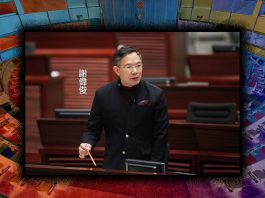 謝偉俊折射的香港政壇問題　文：陳凱文