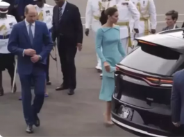 中國電動車打入歐洲市場　巴哈馬用比亞迪接待英國皇室受關注