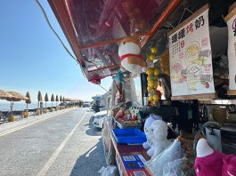 深中通道通車近半年　中山崖口村緊握流量密碼