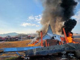 南韓客機務安機場降落撞圍牆爆炸　料179人死亡兩人獲救