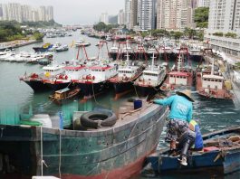 香港漁農業轉型之路：挑戰與機遇並存　文：劉建誠