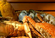 【灣區堅料話你知】珠海狂食攻略　猛料海鮮食過返尋味