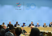 世貿組織：美國關稅政策致全球貿易前景嚴重惡化　2025年增長預期下調