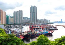 開創可持續未來：釋放香港海岸線的潛力　文：劉建誠
