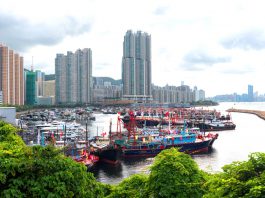 開創可持續未來：釋放香港海岸線的潛力　文：劉建誠
