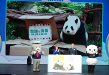 海洋公園公布大熊貓龍鳳胎命名　家姐「加加」細佬「得得」