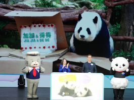 海洋公園公布大熊貓龍鳳胎命名　家姐「加加」細佬「得得」