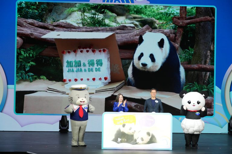 海洋公園公布港產大熊貓龍鳳胎「家姐」、「細佬」的名字分別是「加加」和「得得」。(燊亮攝)