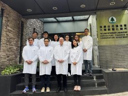 漁護署獸醫化驗所年做測試30萬次　曾發現新冠病毒可在寵物間傳播