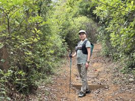 羅淑佩挑戰大帽山體驗「四山旅遊」　指有挑戰性需「邊行邊抖」　完成後具滿足感