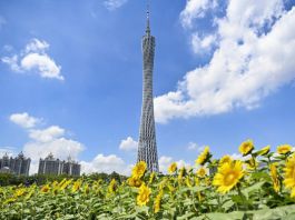 廣州科技公司遭網絡攻擊　公安調查後指屬民進黨黑客所為