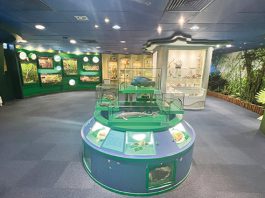 【深水誌-保育瀕危物種】展珍稀動植物標本　長沙灣「瀕危物種資源中心」宣傳保育意識