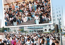 誰說旅遊經貿金融不可同時搞？　文：陳凱文