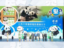 【堅亮點】街訪 | 港產大熊貓龍鳳胎獲新名　市民：寓意香港加油事事都得