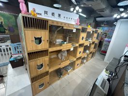 【深水誌-領養代替購買】阿棍屋新領養中心在欽州街開張　逾30隻活潑貓貓等待「上樓」
