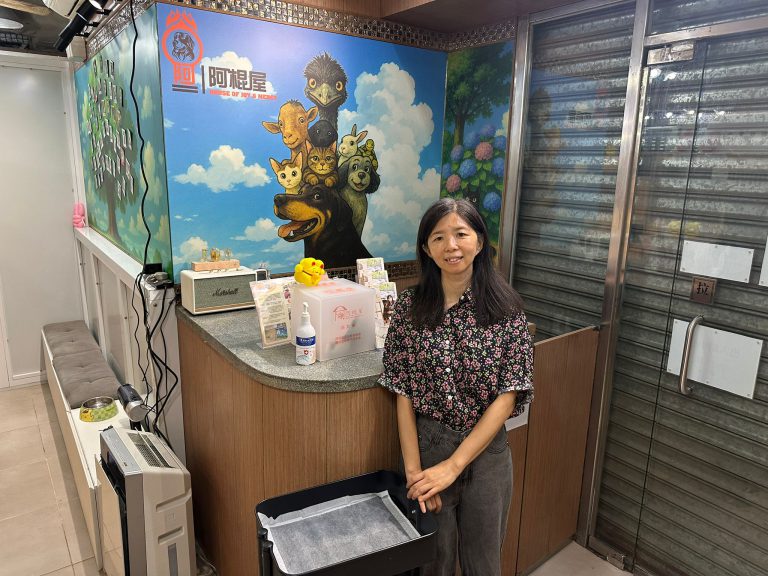「阿棍屋」創辦人謝婉儀表示,領養中心內現時有約30隻流浪貓及6隻兔子進駐等待「上樓」。