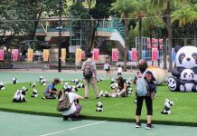 維園慶回歸活動今起展示6大主題裝置　供市民觀賞