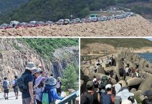 是否「過度旅遊」不應隨口噏　文：陳凱文