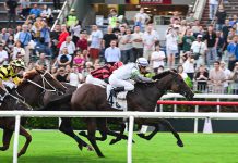 回歸28周年　馬場旅客入場創回歸賽馬日新高　M+博物館破開館單日紀錄